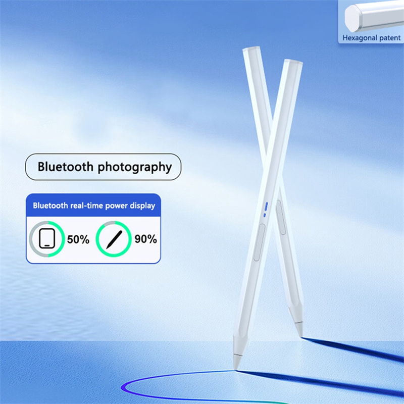 Stylus for Tablets and Mobile  - Drawing Tablet Pen Accessories recensione e prezzo